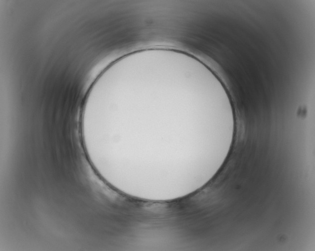X0000112051006200909150958