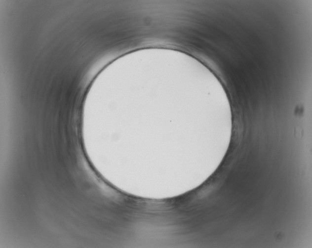 X0000112051007200909150958