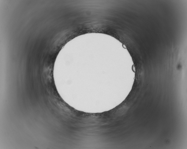 X0000112051010200909150958