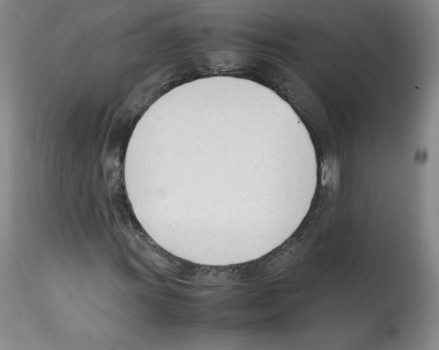 X0000112051011200909150958