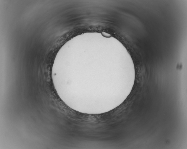 X0000112051013200909150958