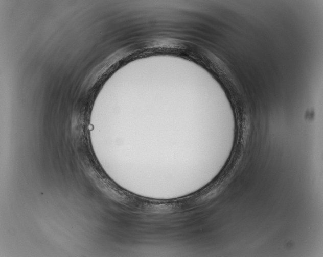 X0000112051017200909150958