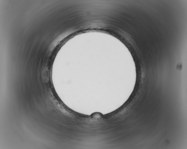 X0000112051018200909150958