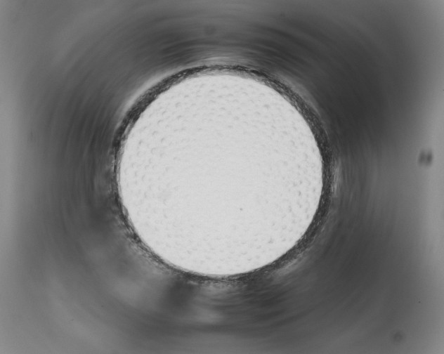X0000112051021200909150958