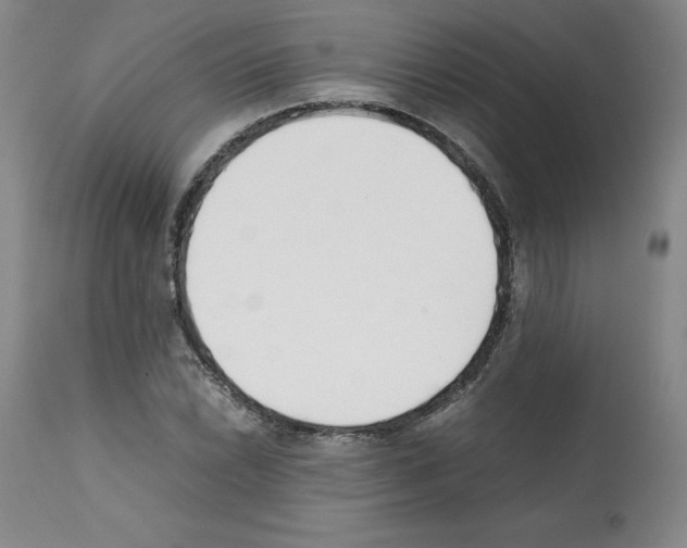 X0000112051022200909150958
