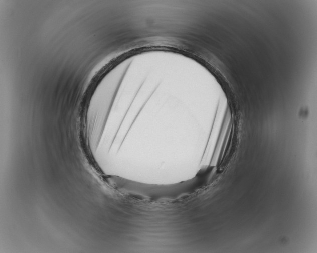 X0000112051024200909150958
