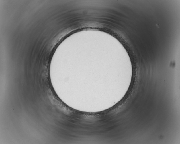 X0000112051025200909150958