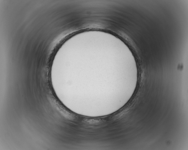 X0000112051027200909150958