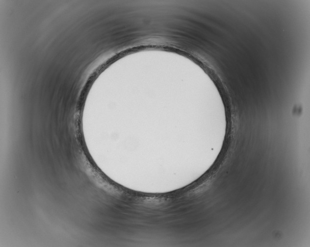 X0000112051029200909150958