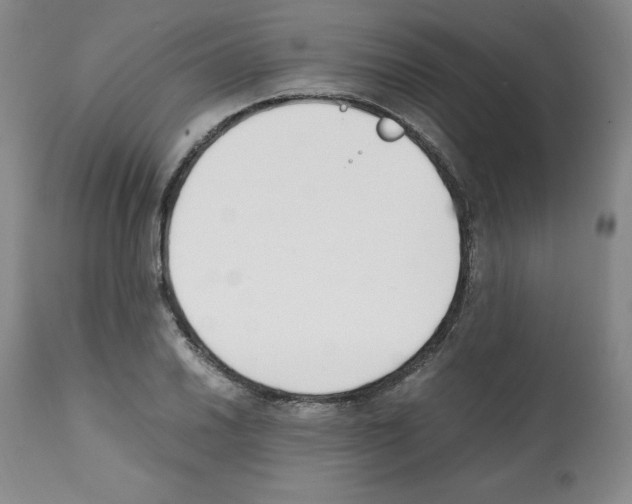 X0000112051030200909150958