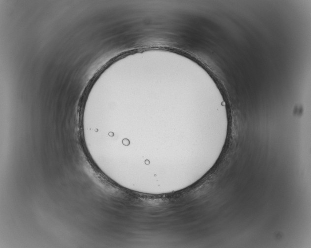 X0000112051031200909150958