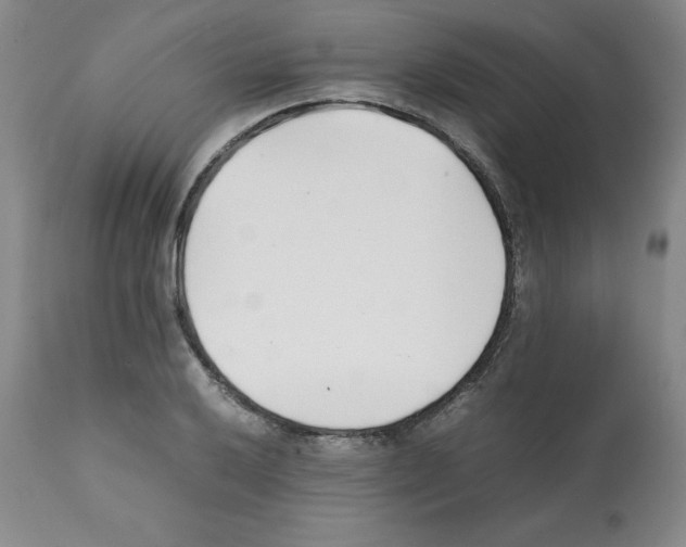 X0000112051032200909150958