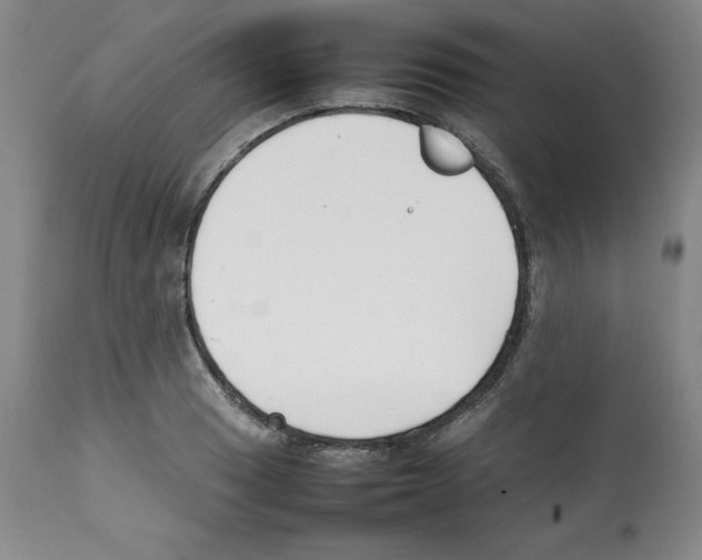 X0000112051033200909150958