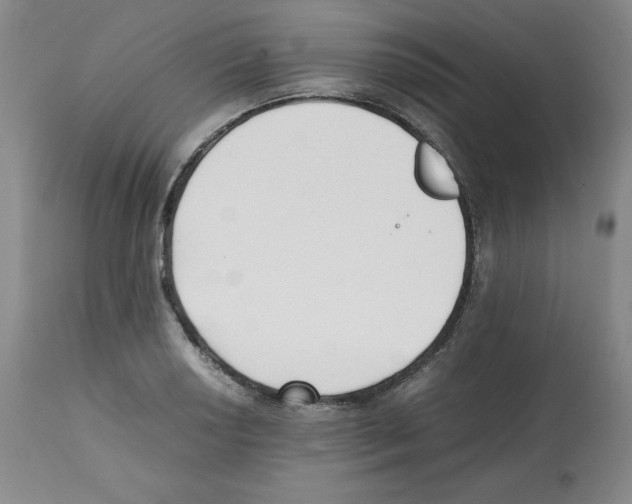 X0000112051034200909150958