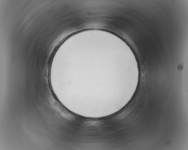 X0000112051035200909150958