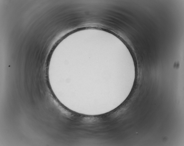 X0000112051037200909150958