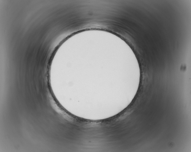 X0000112051038200909150958