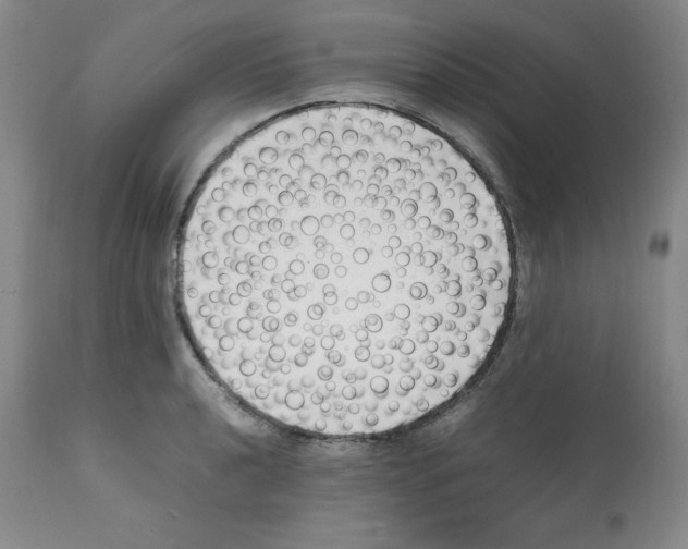 X0000112051040200909150958