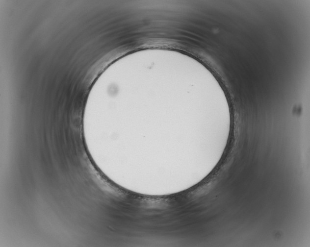 X0000112051041200909150958