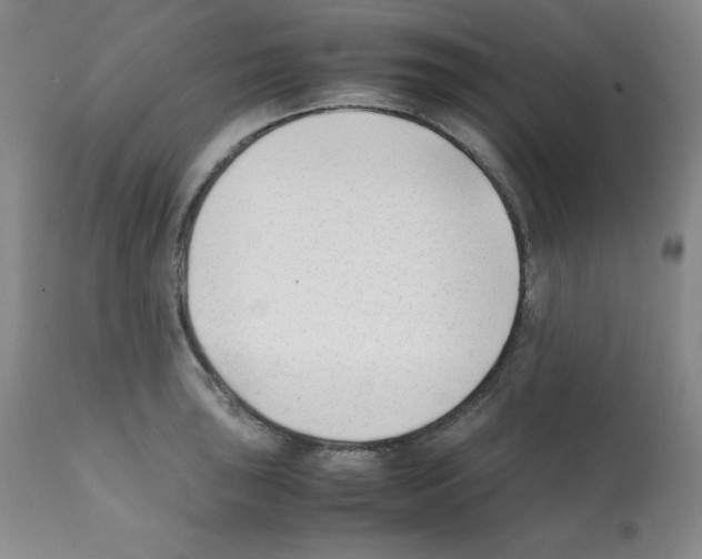X0000112051043200909150958