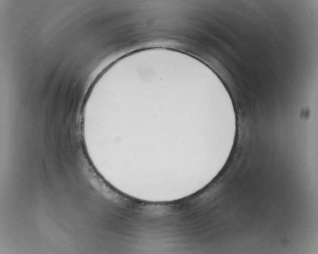 X0000112051044200909150958