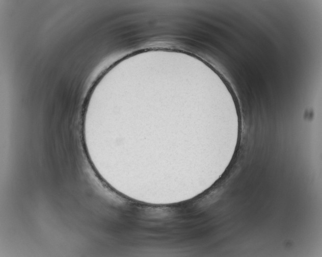 X0000112051045200909150958