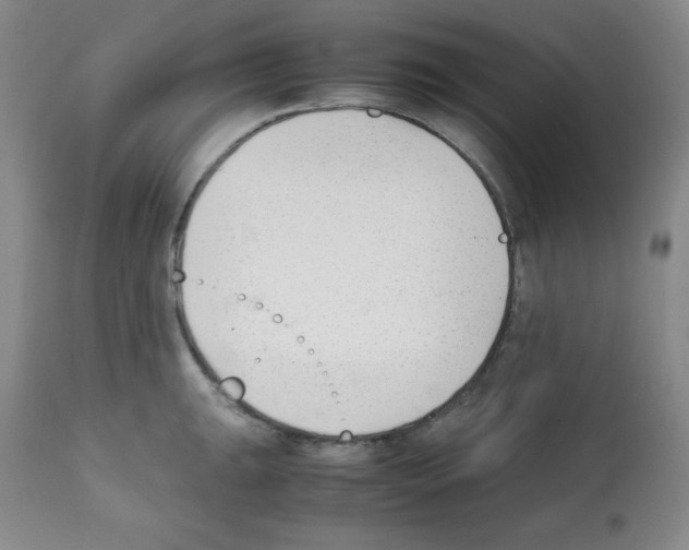 X0000112051047200909150958