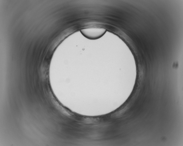 X0000112051049200909150958