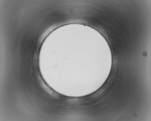X0000112051054200909150958