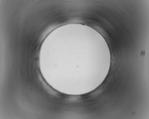 X0000112051055200909150958