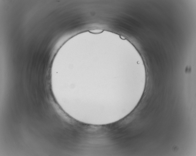 X0000112051056200909150958