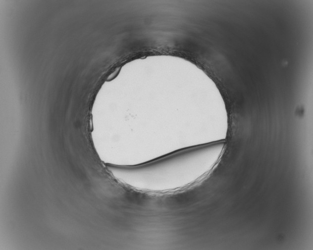 X0000112051057200909150958