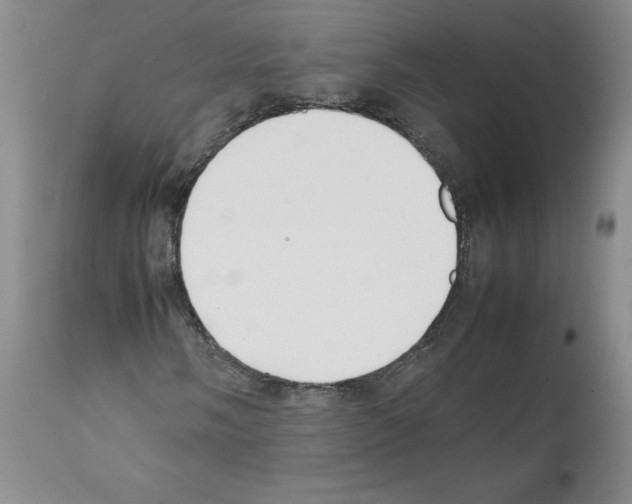 X0000112051058200909150957
