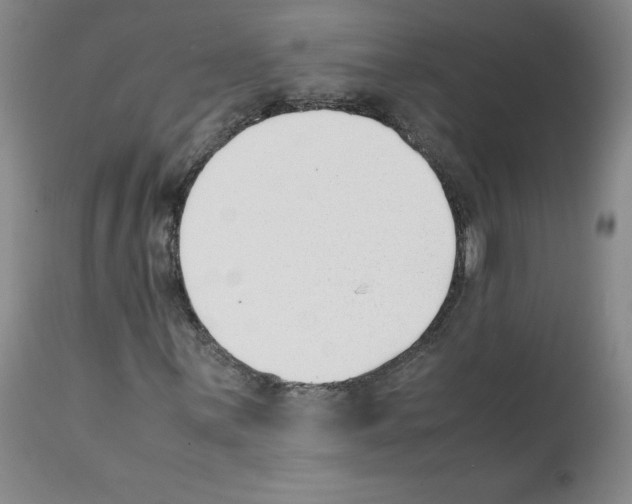 X0000112051059200909150957