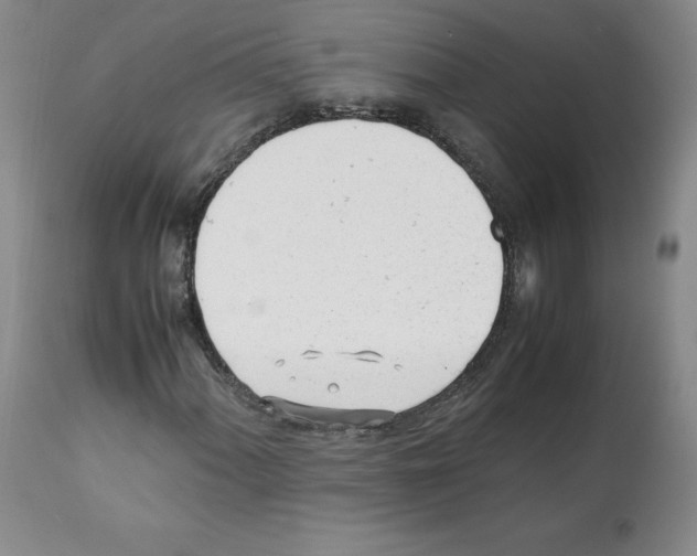 X0000112051060200909150957