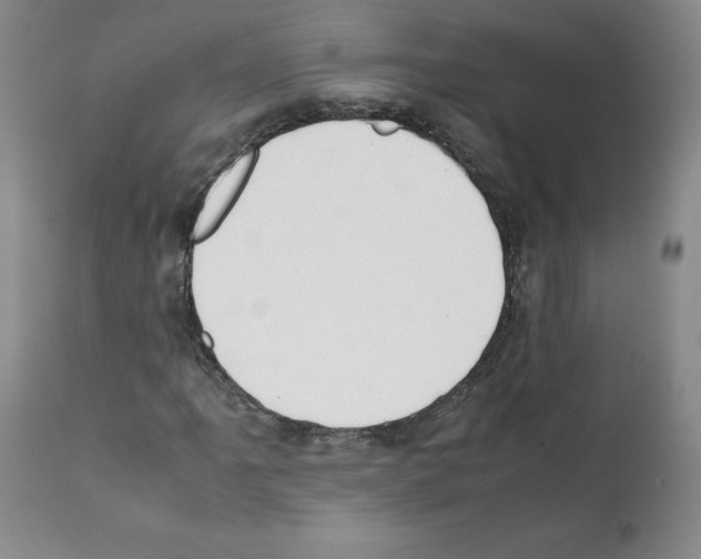X0000112051061200909150957