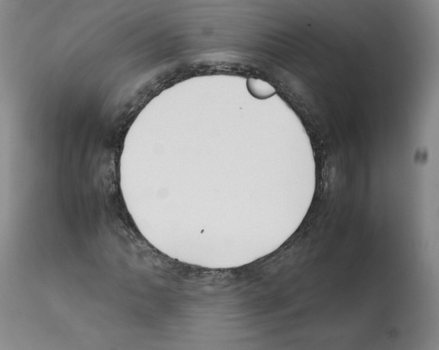 X0000112051062200909150957