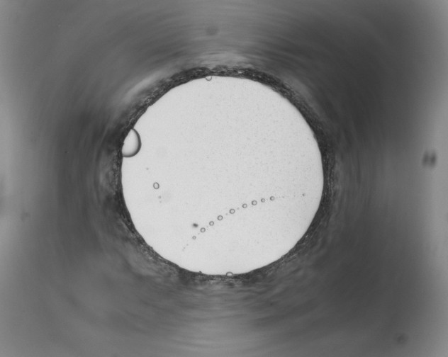 X0000112051063200909150957
