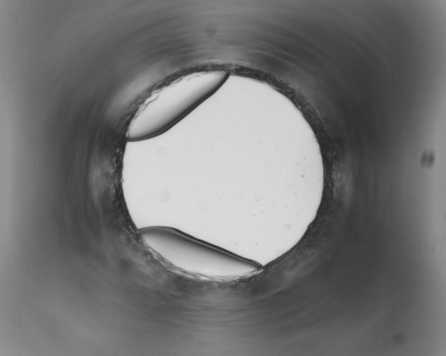 X0000112051064200909150957