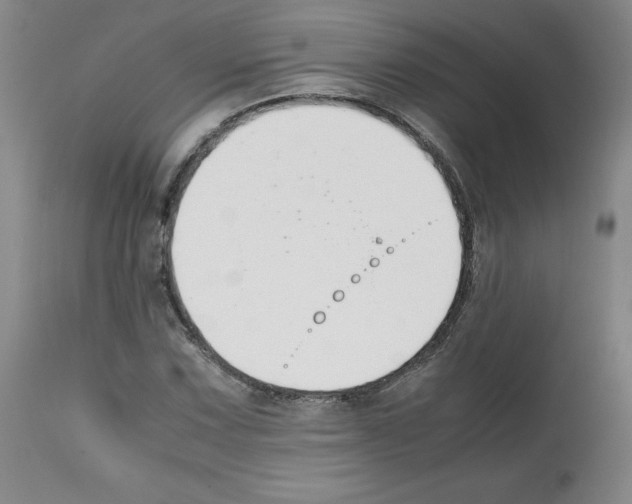 X0000112051067200909150957
