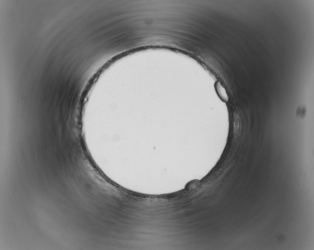 X0000112051068200909150957