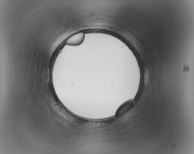 X0000112051069200909150957