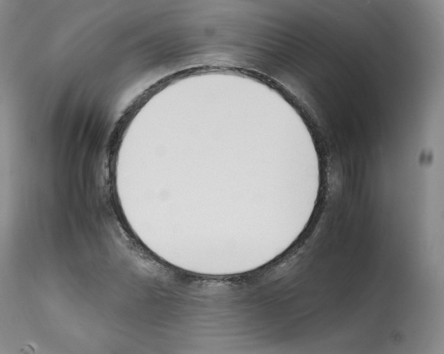 X0000112051070200909150957
