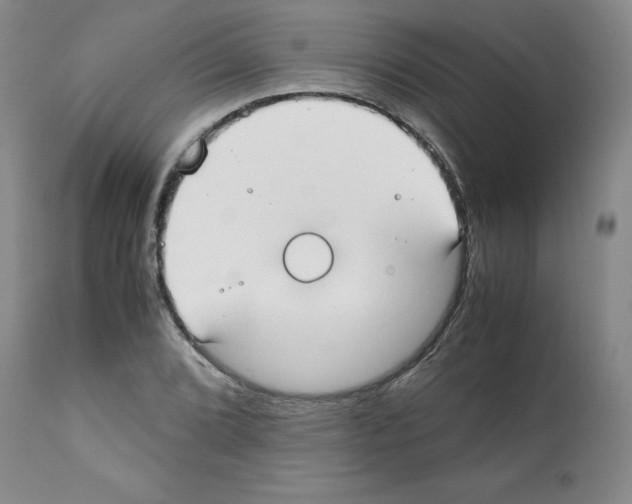 X0000112051072200909150957