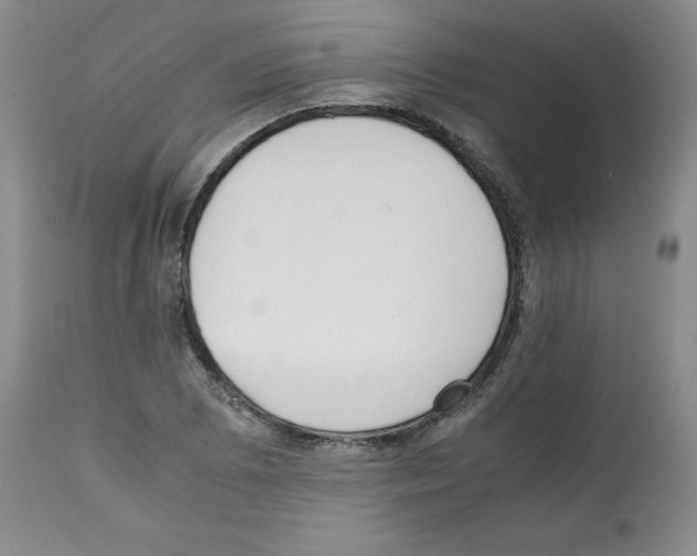 X0000112051073200909150957