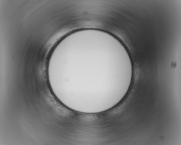 X0000112051074200909150957
