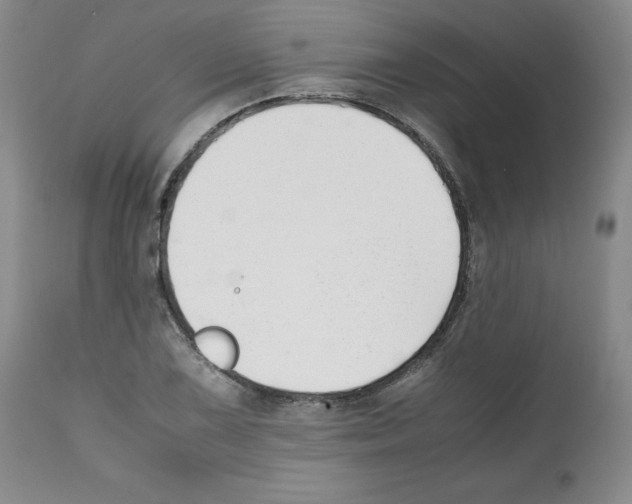 X0000112051075200909150957