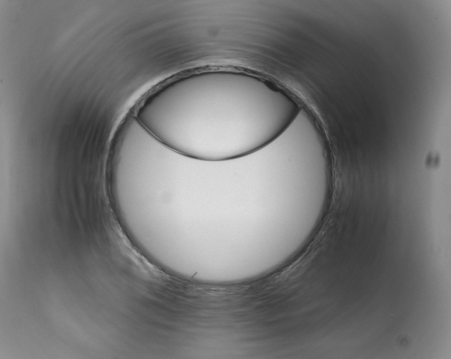 X0000112051076200909150957