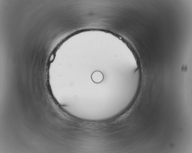 X0000112051077200909150957