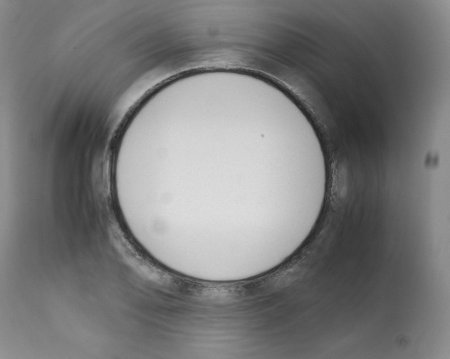 X0000112051078200909150957